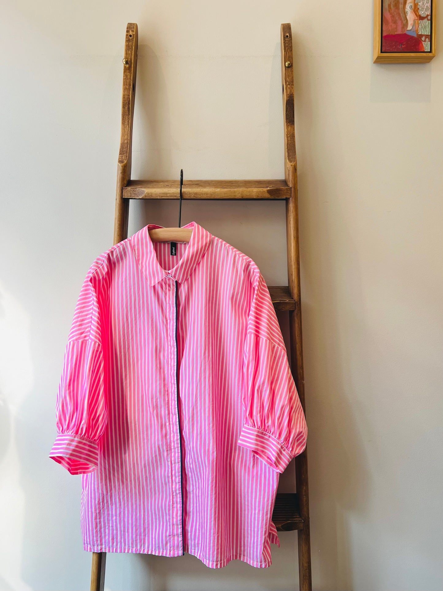 Balloon Sleeve Stripe Top / Pink stripe